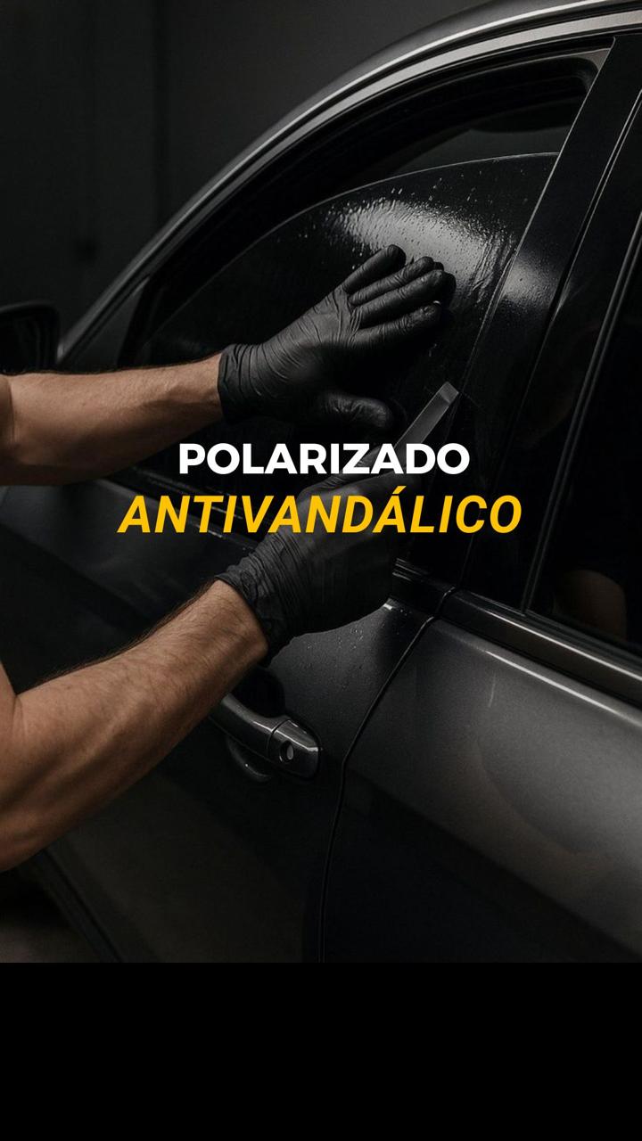 POLARIZADO ANTIVANDÁLICO